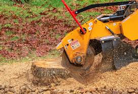 Best Utility Line Clearance  in Livingston, TX